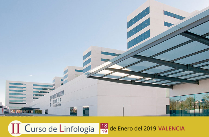 La Fe de Valencia acogerá el II Curso de Linfología los próximos 18 y 19 de enero de 2019
