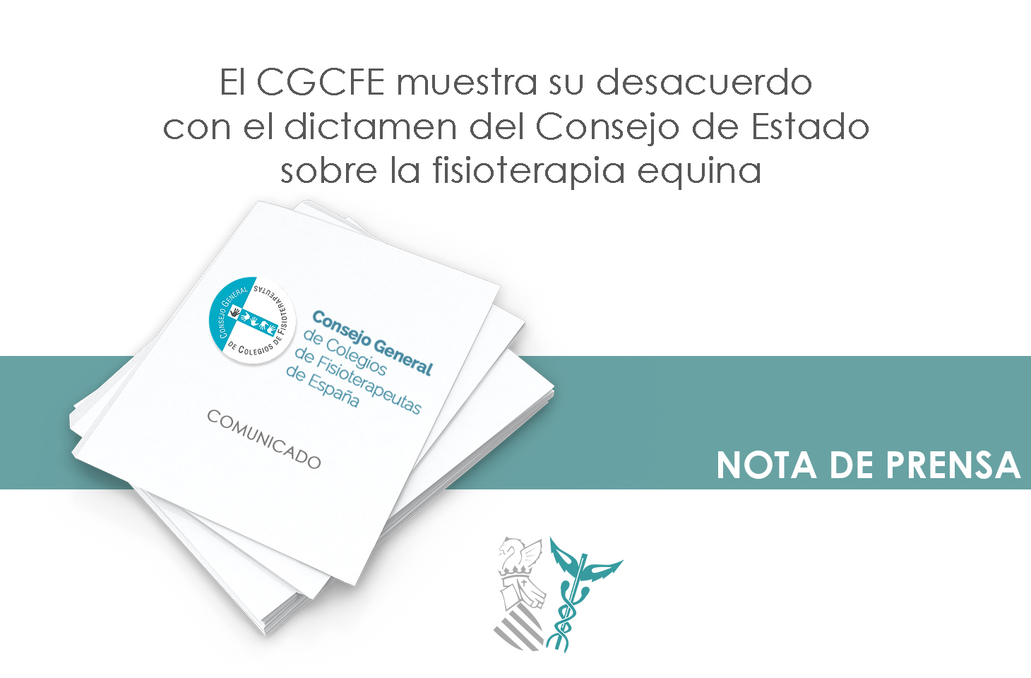 El CGCFE manifiesta su desacuerdo con el dictamen del Consejo de Estado sobre la fisioterapia equina que no entra en el fondo de la cuestión