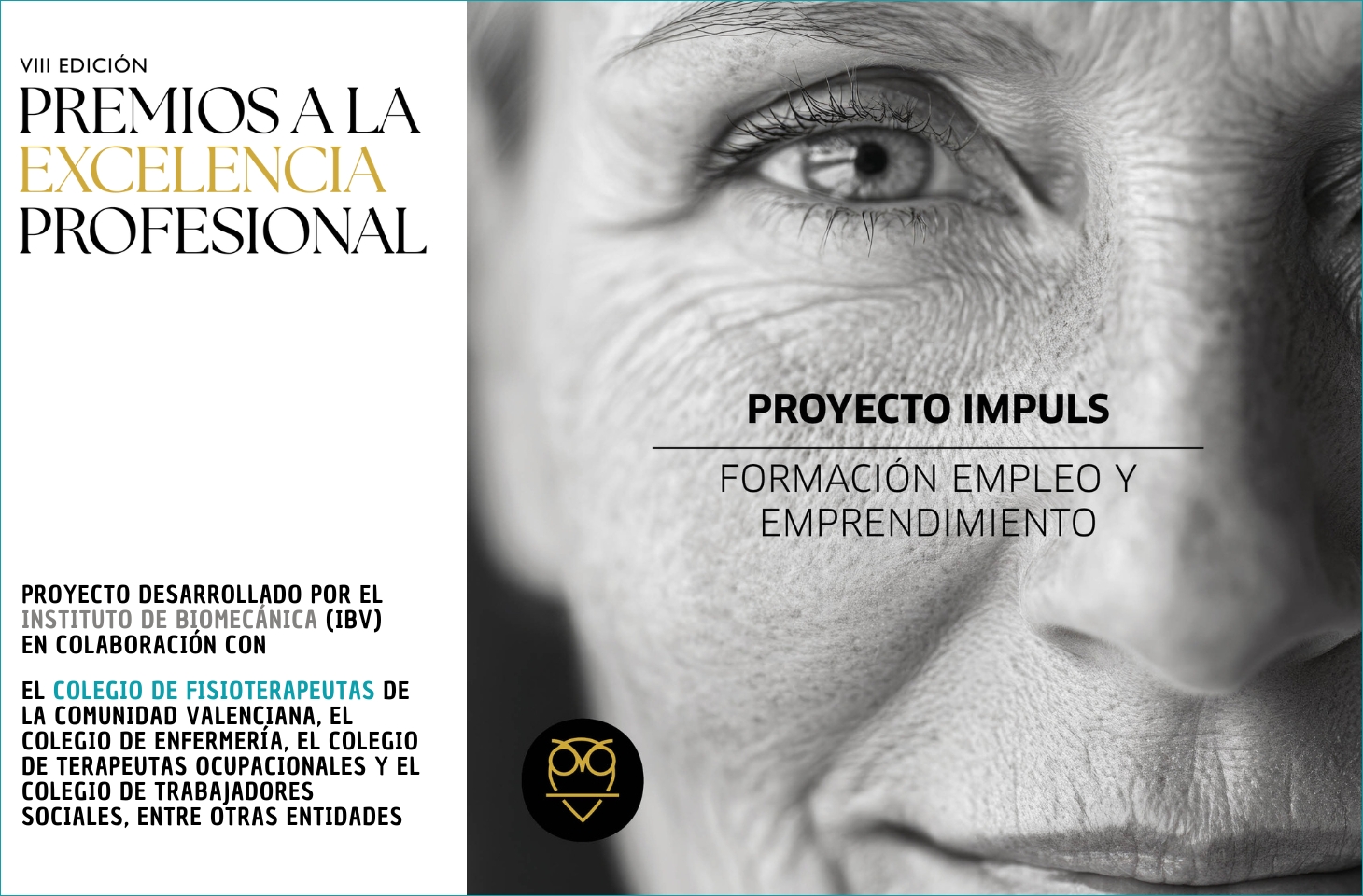 La Unión Profesional de Valencia premia al proyecto IMPULS, en el que participa el ICOFCV, en los VIII Premios a la Excelencia Profesional  