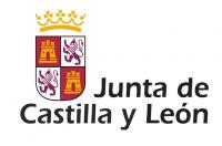 Castilla y León convoca la bolsa de empleo para personal laboral temporal fisioterapeuta en la provincia de Soria